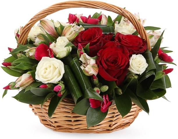 из красных и белых роз Букет «Надежда»